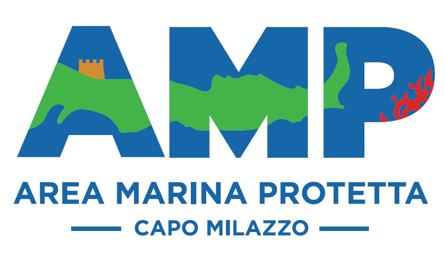 amp_logo